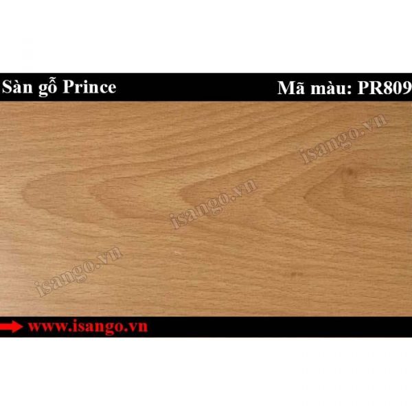 Sàn gỗ Prince PR809 8mm bản to