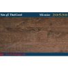 Sàn gỗ Thaigood 20530