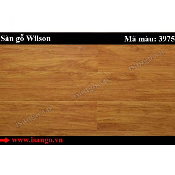 Sàn gỗ Wilson 3975