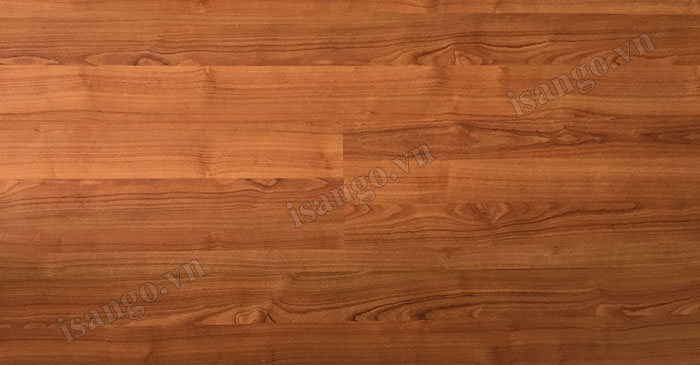 Sàn gỗ công nghiệp Thaixin 1048 12mm