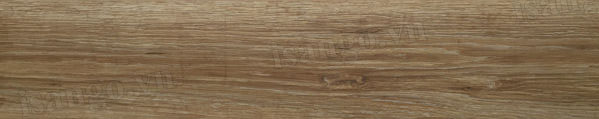Ván sàn gỗ Alsafloor 181